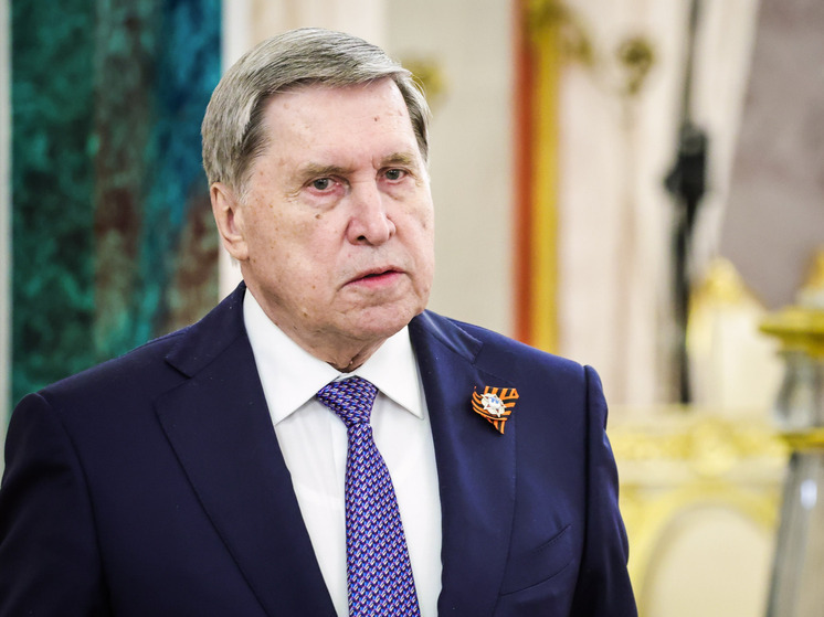 Ушаков предположил, что слова Трампа о «заговоре против США» были иронией