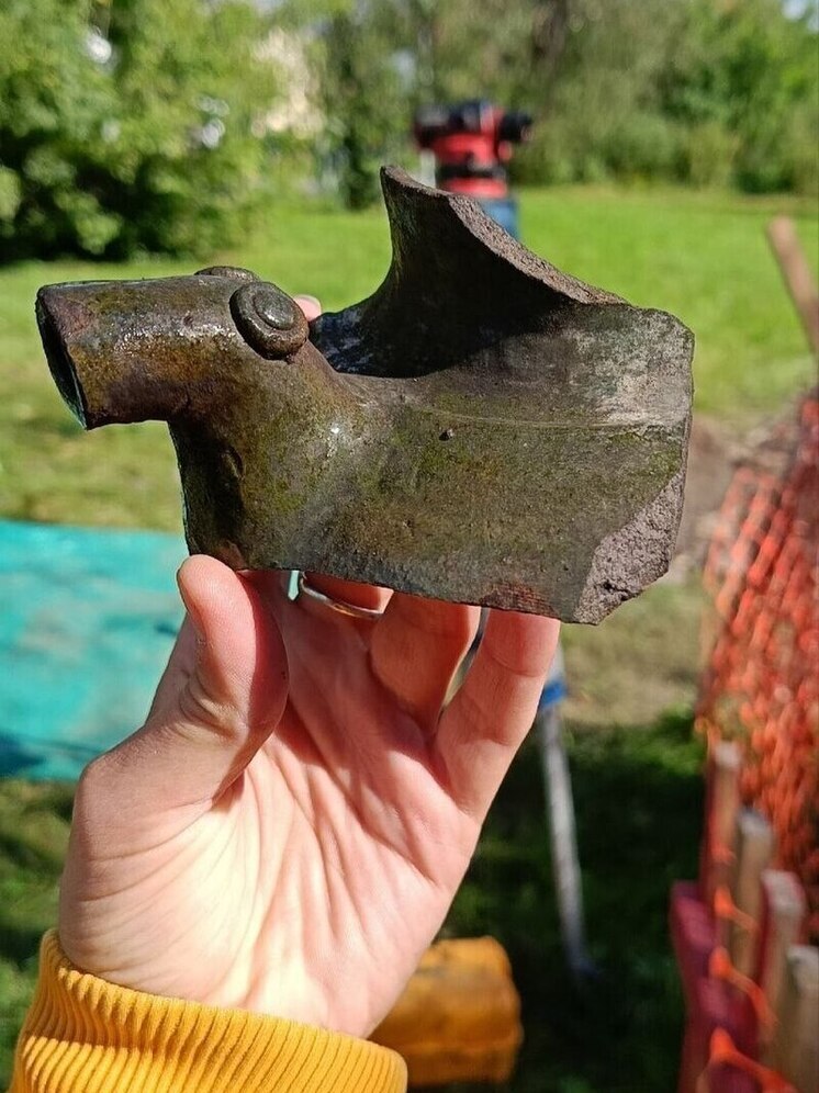 На месте будущего памятника князю Довмонту среди остатков рыб псковские археологи обнаружили зверька-водолея