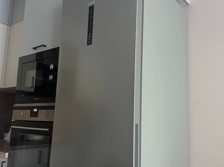 Мошенник из Мончегорска перепродавал бытовую технику петербургским скупщикам