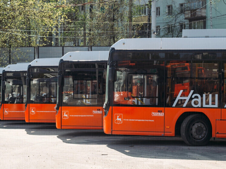 Автобус № 79 в Нижнем Новгороде всё-таки запустят. Когда?
