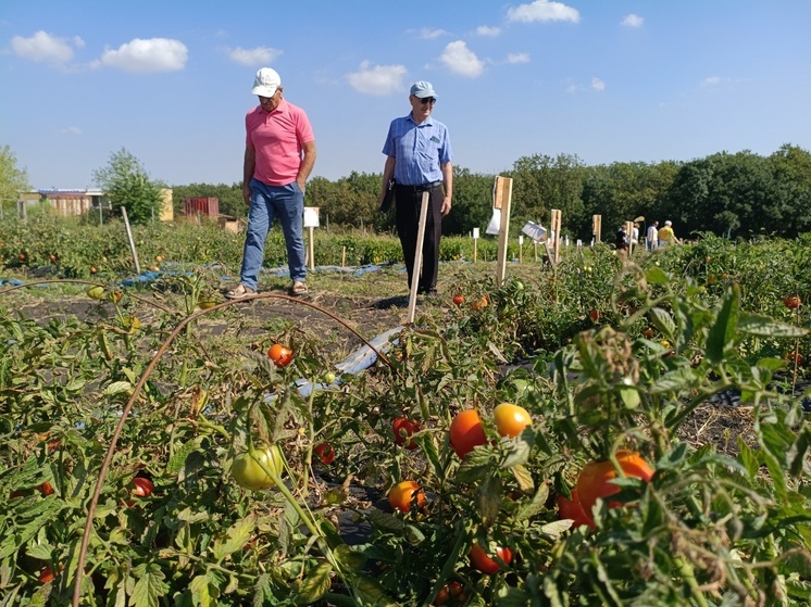 В Ставропольском крае число объектов сельского туризма достигло 112
