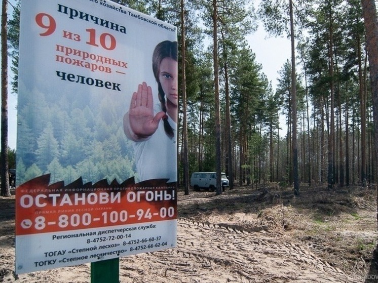 В Тамбовской области прогнозируется повышенный риск пожаров
