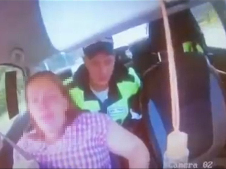 На трассе «Нарва» женщина чуть не родила седьмого ребенка в полицейской машине