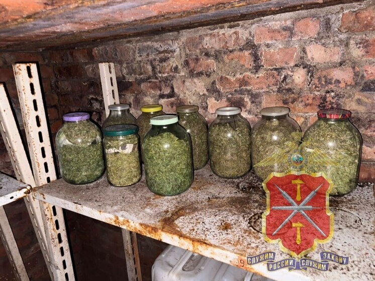 Полицейские изъяли более 180 кустов конопли в Новомосковском районе