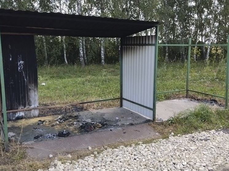 ООО «МСК-НТ»: об уголовной ответственности за поджог и кражу контейнеров