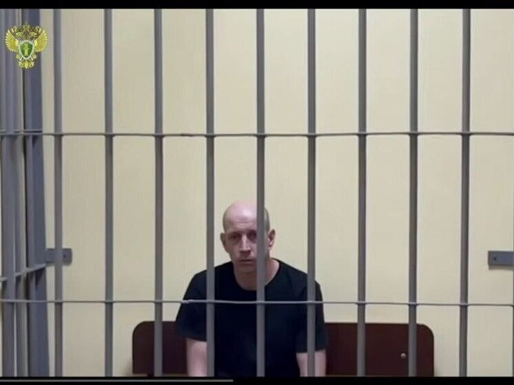 Запорожец получил пожизненный срок за шпионаж и диверсию