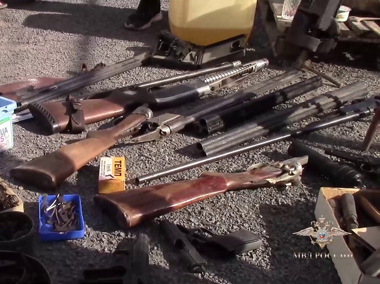 Псковская область попала в топ-5 по росту преступлений с незаконным оборотом оружия