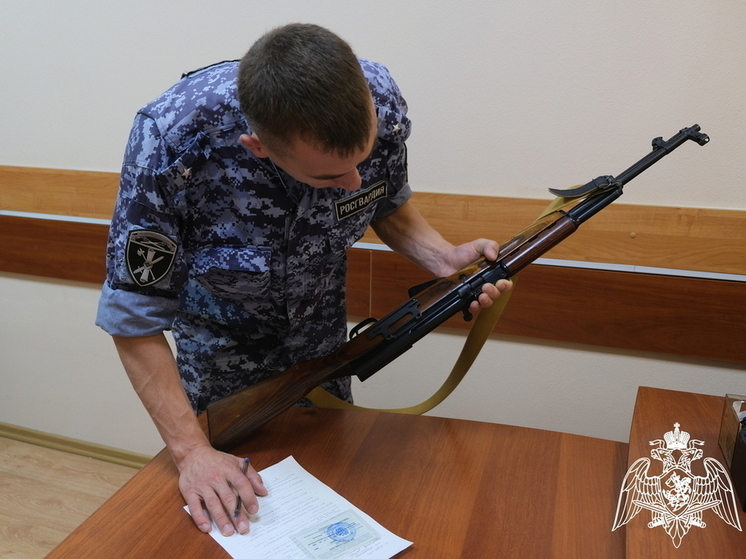 Курская область вошла в ТОП-5 рейтинга по незаконному обороту оружия