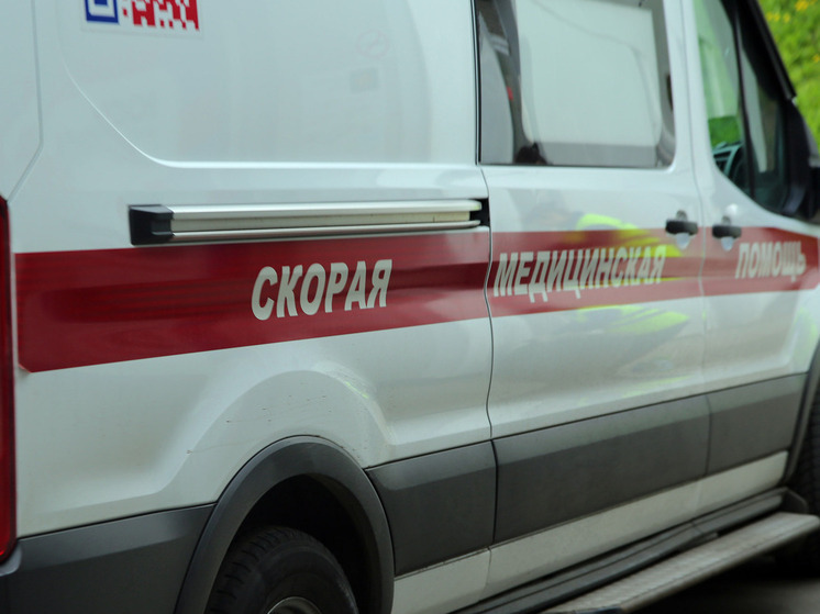 Московская школьница могла уйти из жизни от страха не сдать ОГЭ