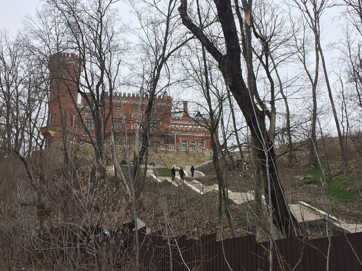 На Нижний парк Дворца Ольденбургских под Воронежем готовы выделить 188 млн рублей