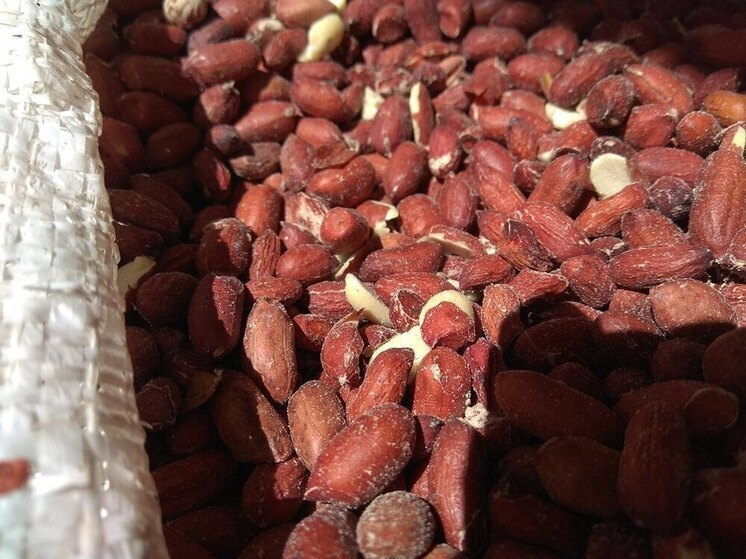 В Петербург не ввезли почти 54 тонны арахиса с мучным хрущаком