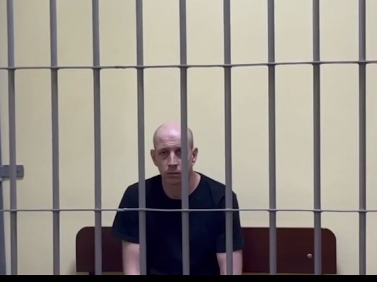 Жителя Токмака, работавшего на украинские спецслужбы, приговорили к пожизненному сроку