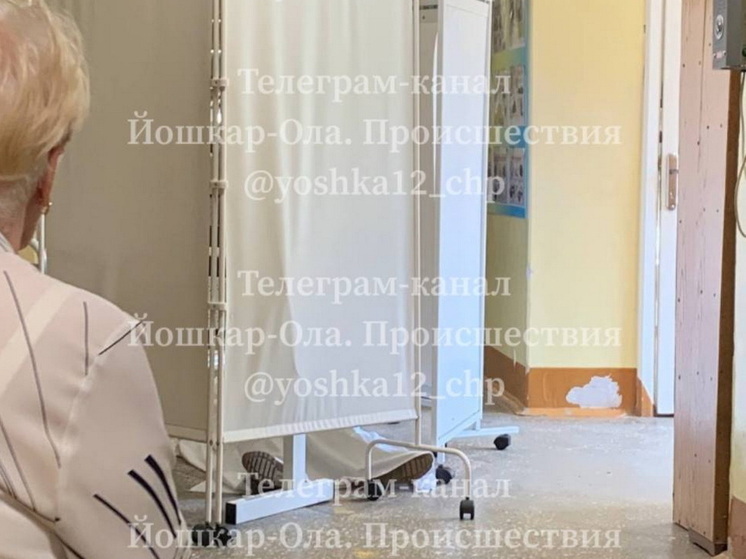 Назначена проверка обстоятельств смерти женщины в поликлинике Йошкар-Олы