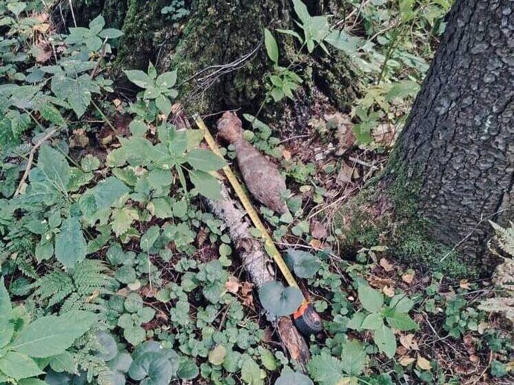 Эхо войны: взрывотехники обезвредили опасные находки в Подмосковье