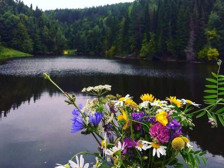 Смоленщина получит рекордные субсидии на благоустройство сел в 2026 году