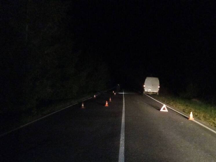 В Брянской области в ДТП насмерть сбили пешехода