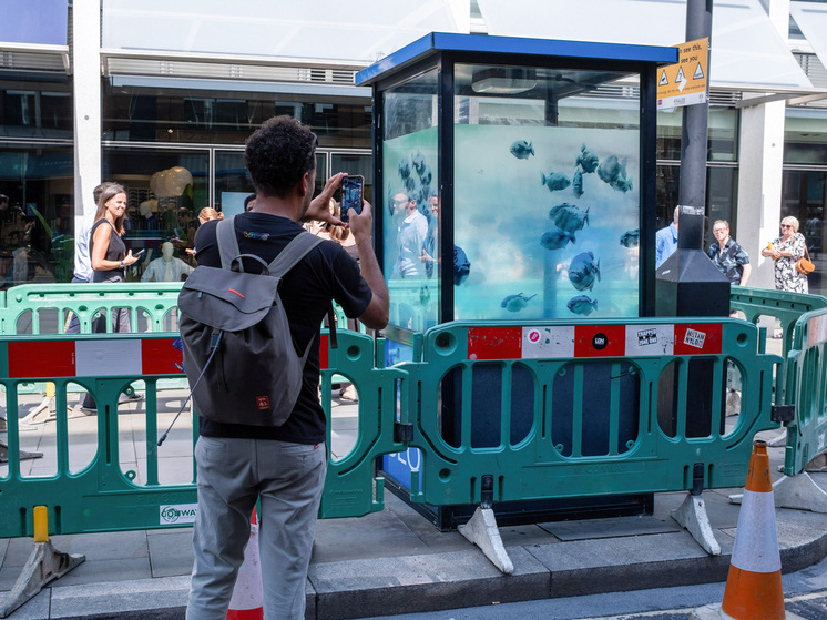 Banksy`s Piranhas Police Box artwork