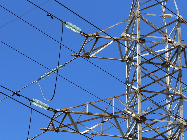 Недалеко от Иркутска обнаружили майнинг-ферму в крапиве и кустах