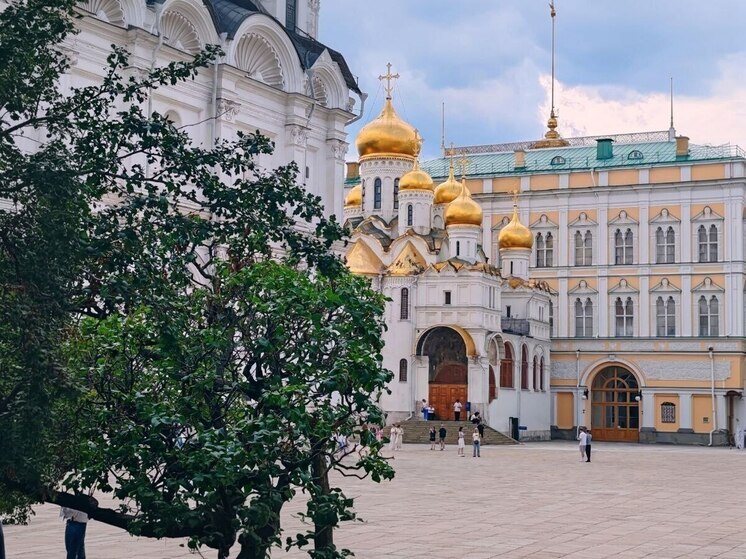 По народному календарю 4 сентября 2025 года отмечается день Агафона Огуменника. Православная церковь в эту дату вспоминает мученика Агафоника Никомидийского, пострадавшего за веру в четвертом веке.