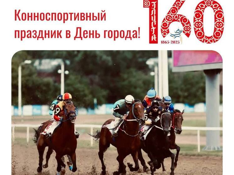 В честь дня рождения Элисты состоятся конные и собачьи бега