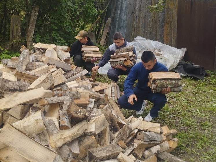 Студенты помогли пожилой жительнице Пыталово