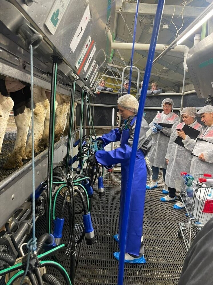 Калужский фермер вошла в пятёрку лучших животноводов России