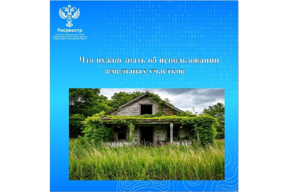 С 1 сентября вступили новые правила пользования земельными участками - что нужно знать