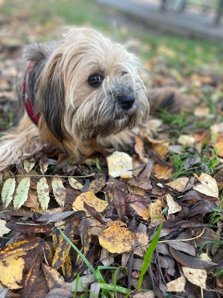 4 сентября в Смоленске будет солнечно