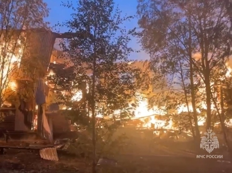 Крупный пожар в заброшке в Новом Уренгое локализовали