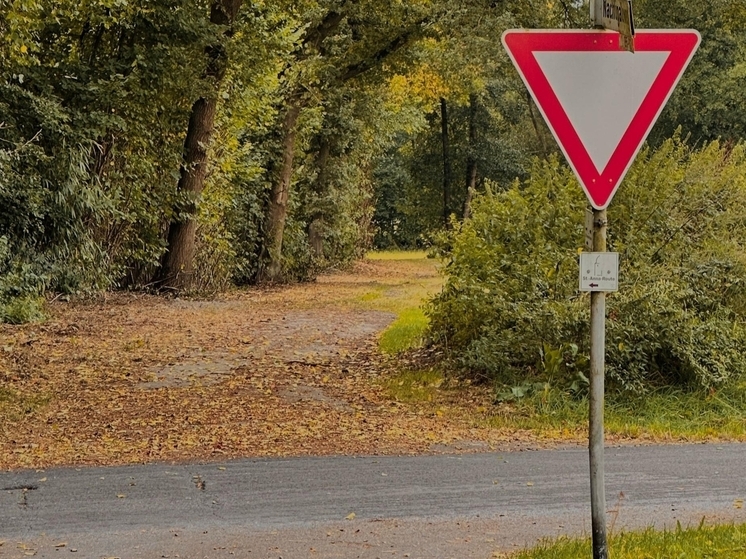 Кратковременные дожди и похолодания до +5 °С : погода в Томске на 4 сентября