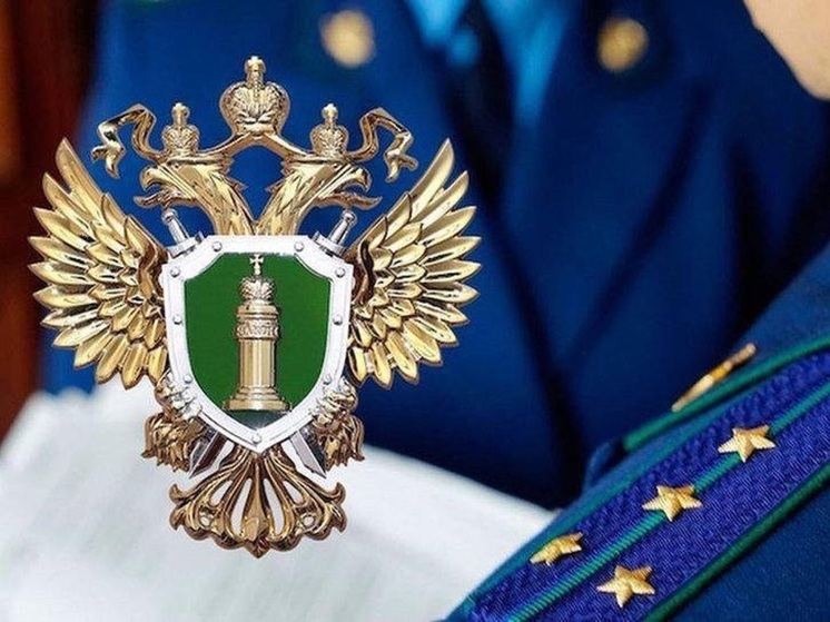 Жительницу Курганской области осудили за смертельные травмы, нанесенные сожителю