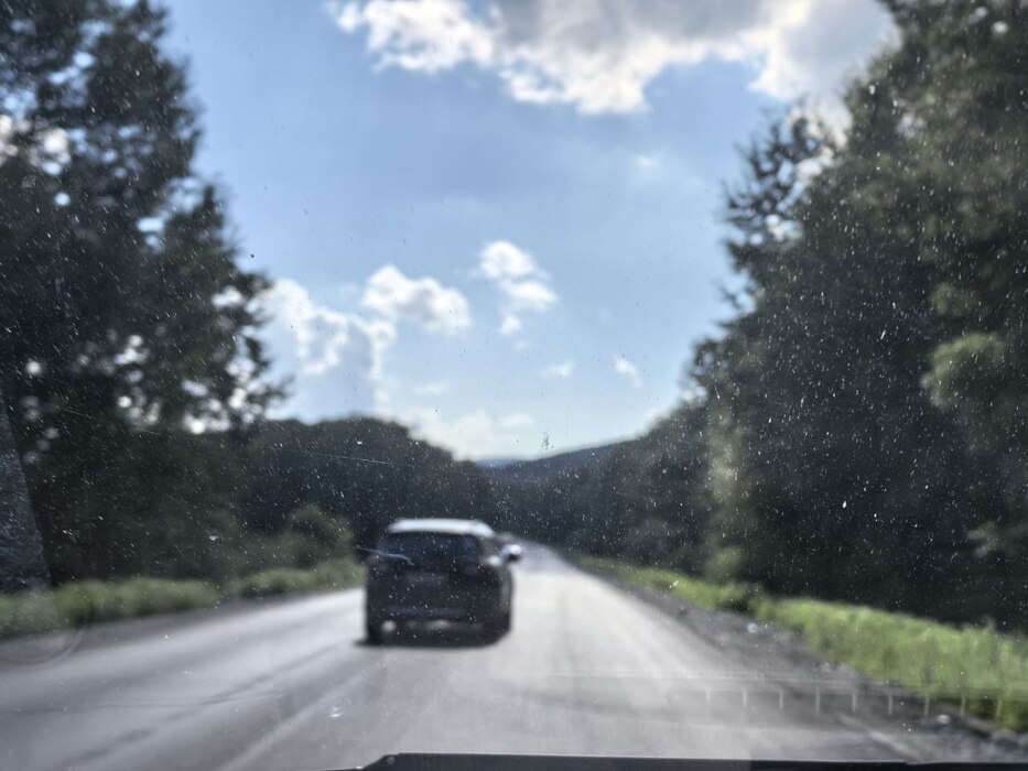Песчаный пляж на побережье