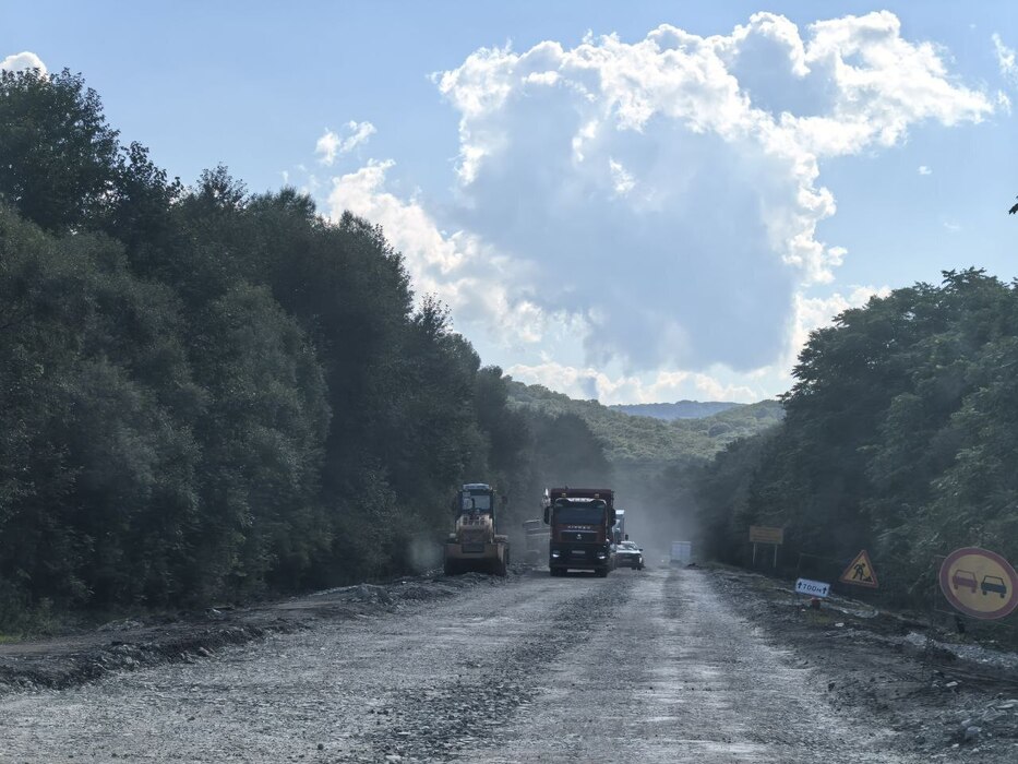 Лесные массивы вдоль дороги