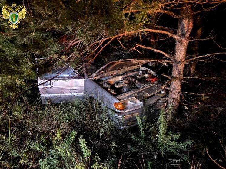 В ДТП на дороге в Марий Эл пострадала 17-летняя девушка