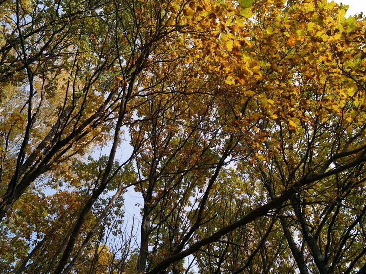 Погодный коллапс на старте осени: где ударят морозы и куда придут ураганы - подробный прогноз Гидрометцентра