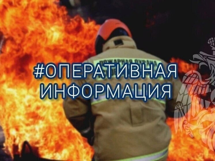 Пожар в бане в Дедовичском районе тушили сегодня специалисты МЧС Пскова