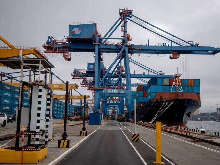 Во Владивостоке запустили первый в России портальный досмотровый комплекс