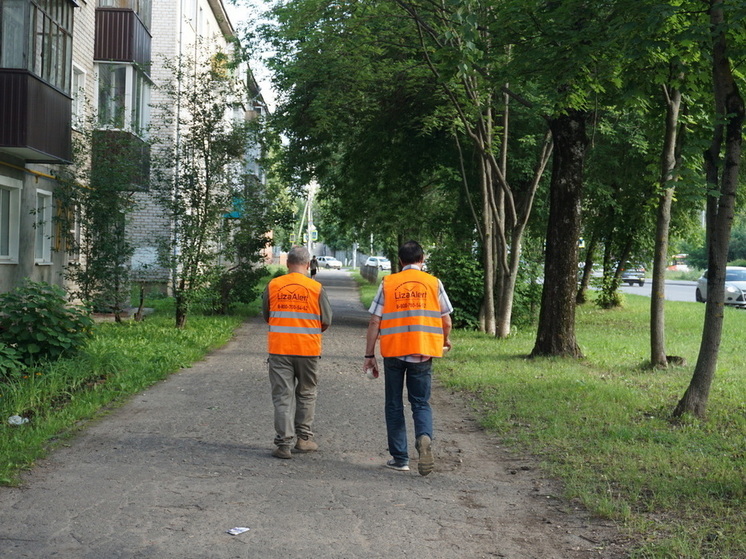 ЛизаАлерт Марий Эл в августе нашел живыми 15 человек