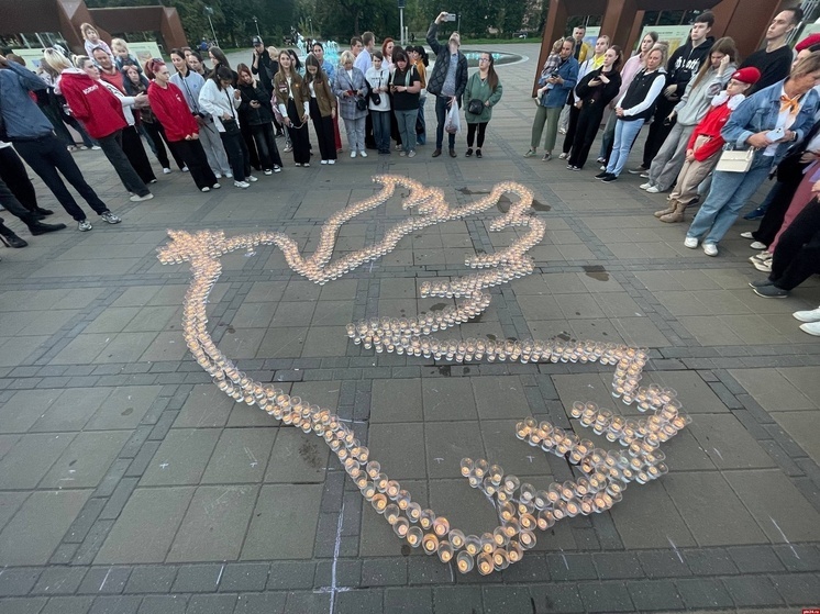 В Псковской области прошла акция «Голубь мира»