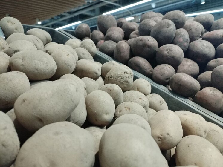 Цена на местный картофель в магазинах Калининградской области снизилась до 20 рублей