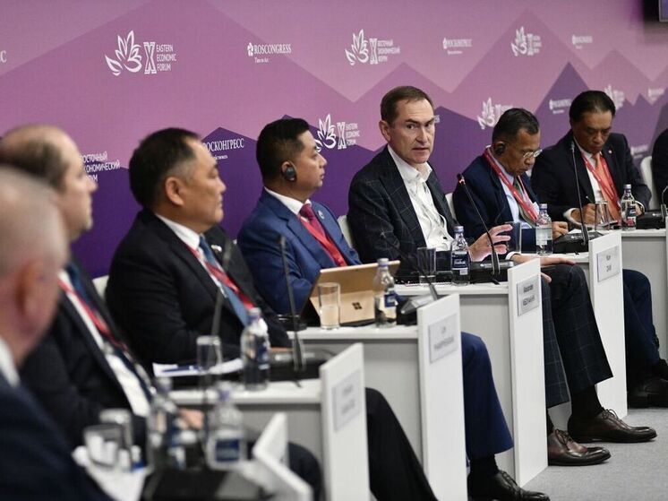 ВЭФ-2025: Россия предлагает АСЕАН уникальную ИИ-модель GigaChat для развития