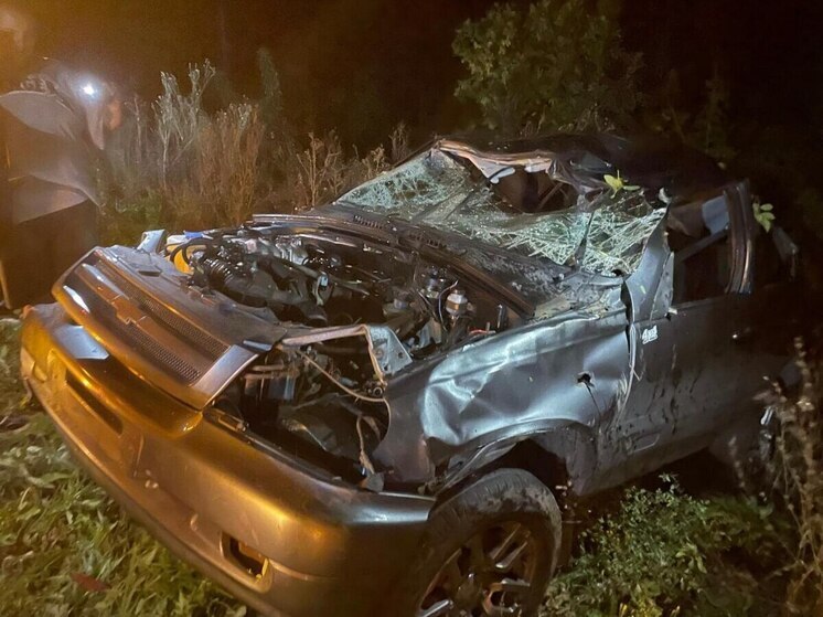 Под Воронежем съехавшая в кювет машина отправила в больницу двух человек