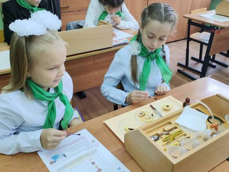 Агрогруппы открыли в четырех вологодских центрах помощи