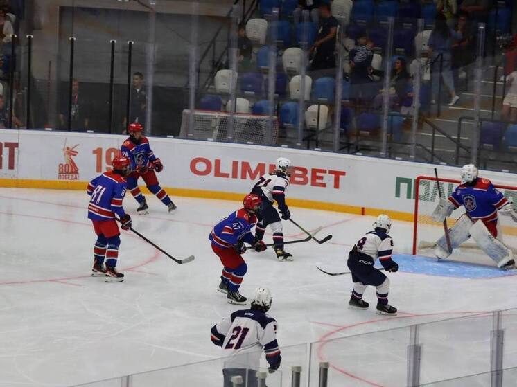 ВХЛ отметила игру 20-летнего голкипера тульского АКМ в матче со «Звездой»