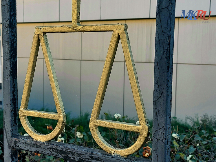 Нерадивого отца лишили прав в Боровске