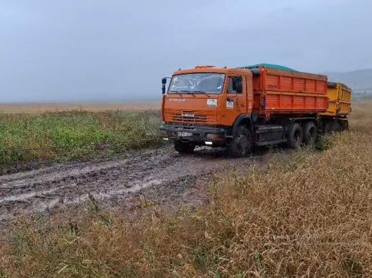 Минсельхозпрод Хакасии заявил, что уборочная кампания находится в состоянии застоя