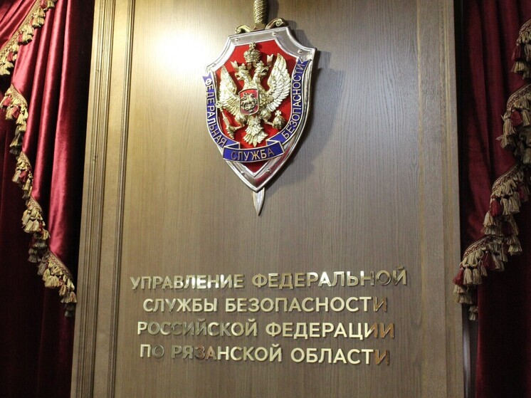 Рязанское УФСБ: организатор незаконной миграции получил 7 лет колонии