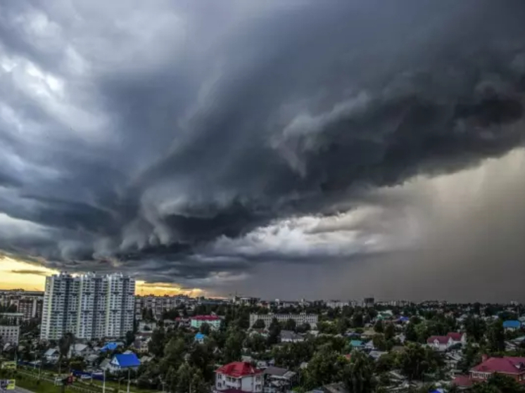 Ростовскую область накроют грозы со шквалистым ветром 4 сентября