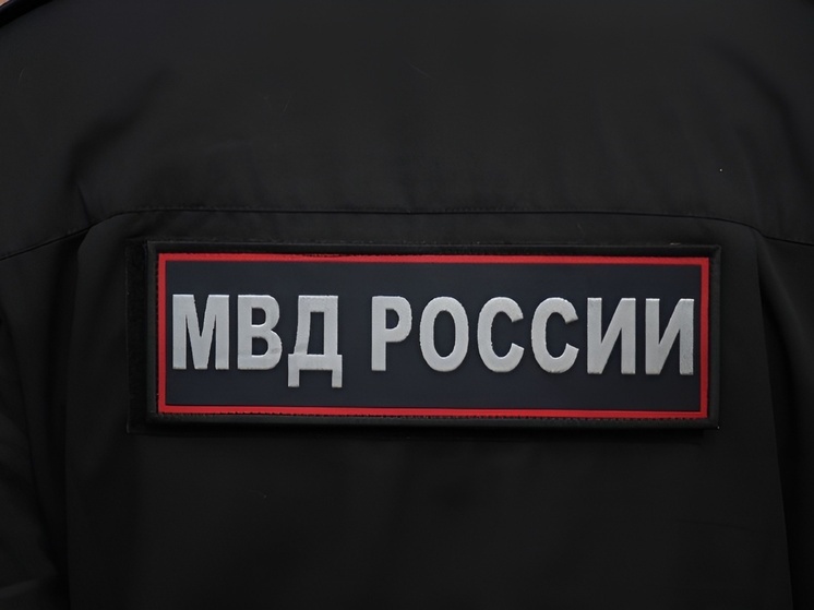 Тульская полиция рассказала об обстановке на матче «Арсенал» - «СКА-Хабаровск»