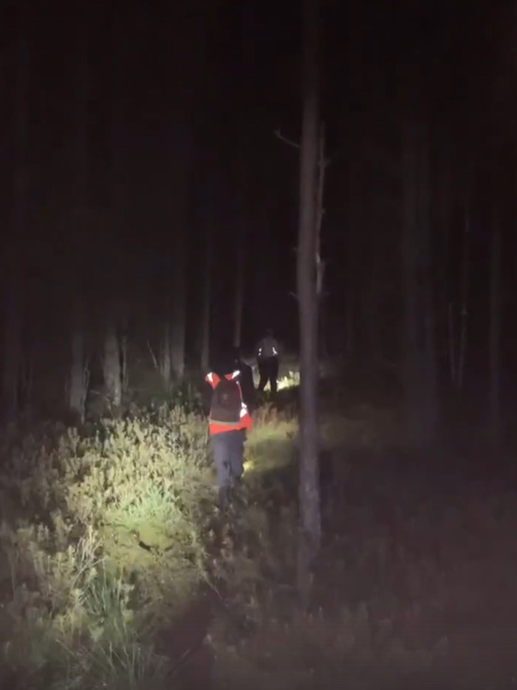 Веру и Надежду спасли в Великолукском районе